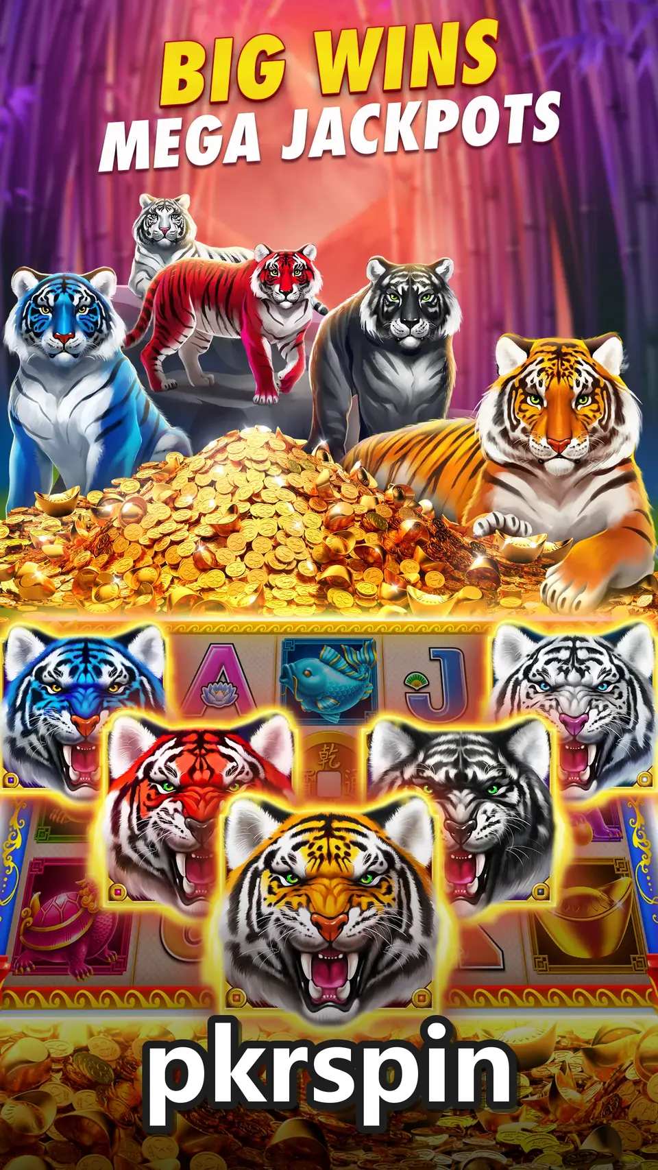 pkrspin screenshot